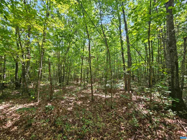 $389,900 | 100-ac West James Anderson Highway West, Gladstone, VA 24553