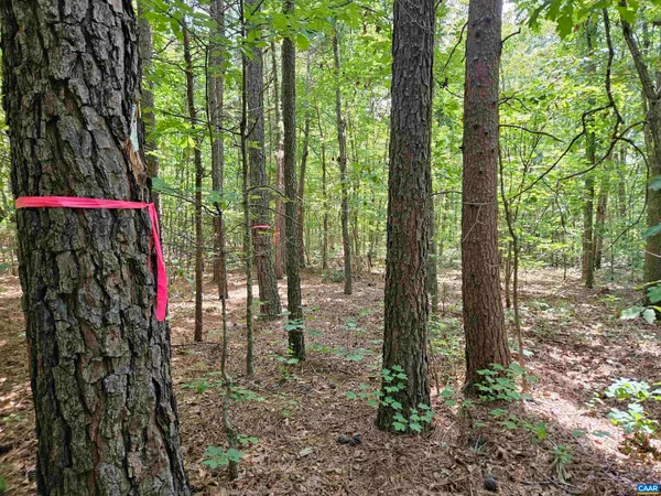 $389,900 | 100-ac West James Anderson Highway West, Gladstone, VA 24553