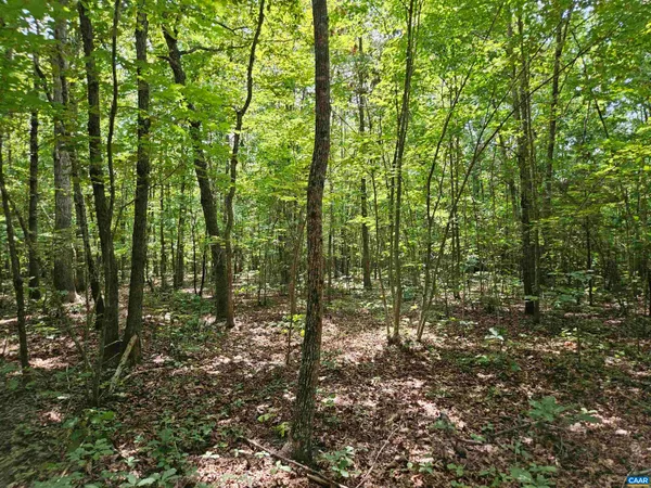$389,900 | 100-ac West James Anderson Highway West, Gladstone, VA 24553