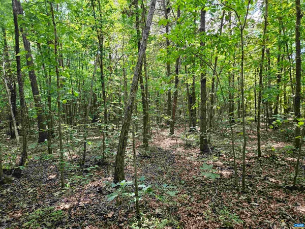 $389,900 | 100-ac West James Anderson Highway West, Gladstone, VA 24553