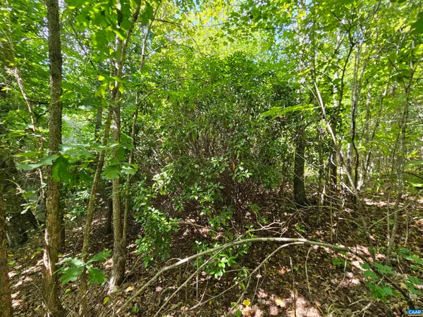 $389,900 | 100-ac West James Anderson Highway West, Gladstone, VA 24553