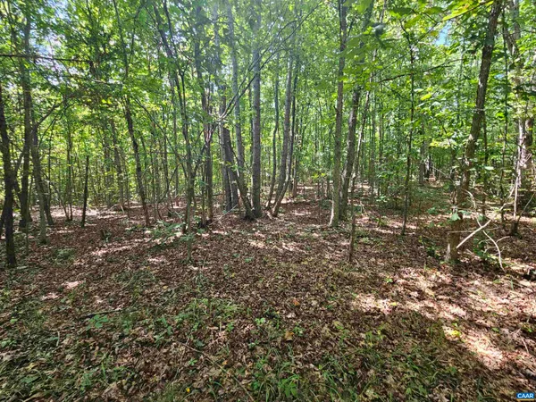 $389,900 | 100-ac West James Anderson Highway West, Gladstone, VA 24553