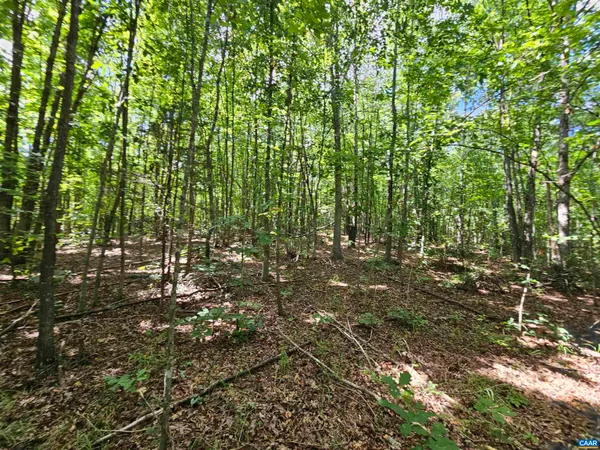 $389,900 | 100-ac West James Anderson Highway West, Gladstone, VA 24553