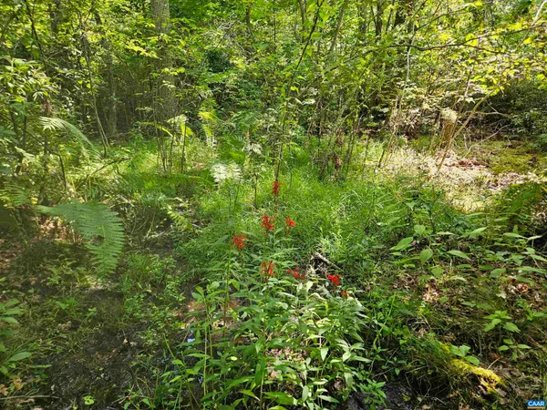 $389,900 | 100-ac West James Anderson Highway West, Gladstone, VA 24553