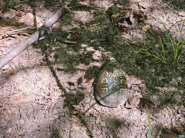 $389,900 | 100-ac West James Anderson Highway West, Gladstone, VA 24553