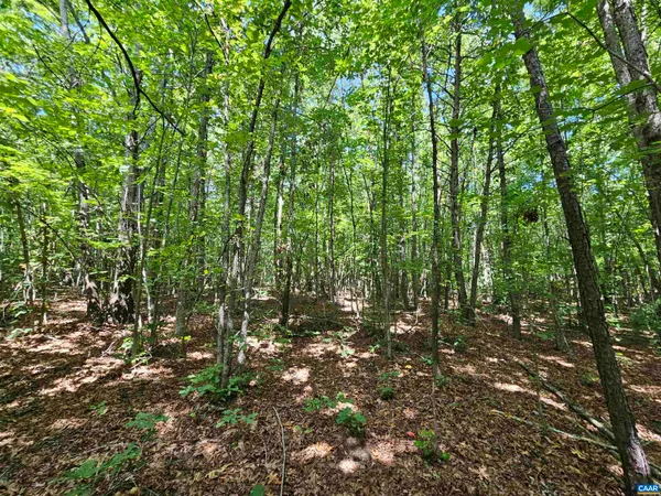 $389,900 | 100-ac West James Anderson Highway West, Gladstone, VA 24553
