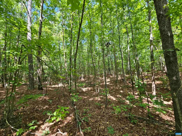 $389,900 | 100-ac West James Anderson Highway West, Gladstone, VA 24553
