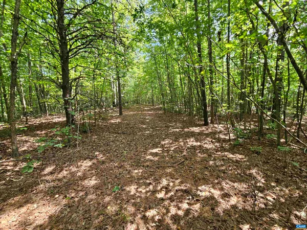 $389,900 | 100-ac West James Anderson Highway West, Gladstone, VA 24553