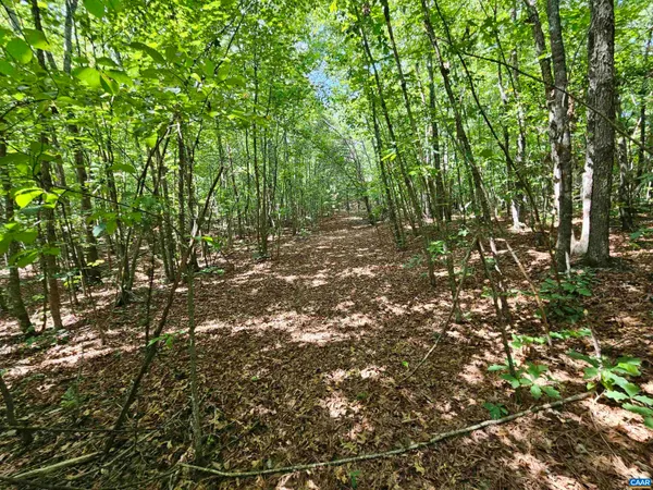 $389,900 | 100-ac West James Anderson Highway West, Gladstone, VA 24553