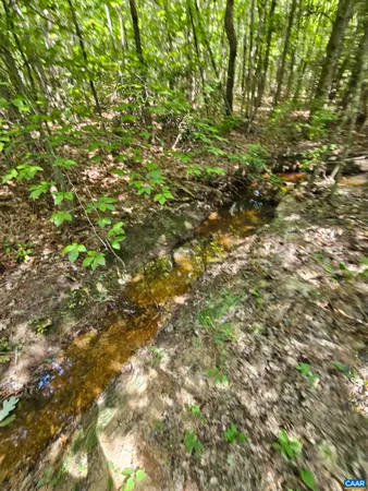 $389,900 | 100-ac West James Anderson Highway West, Gladstone, VA 24553