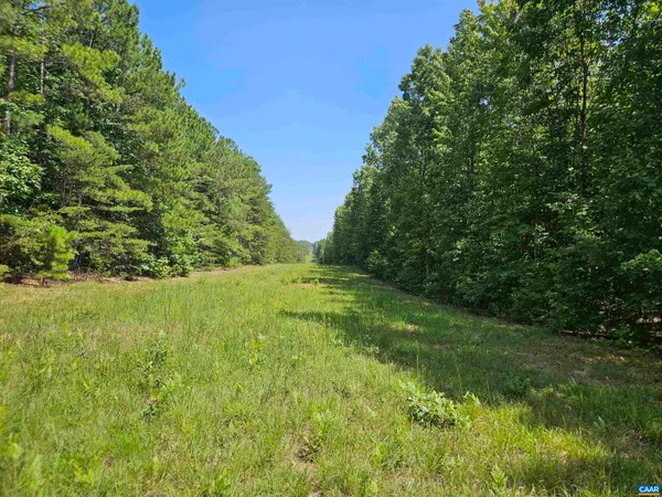 $389,900 | 100-ac West James Anderson Highway West, Gladstone, VA 24553
