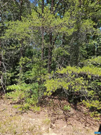 $389,900 | 100-ac West James Anderson Highway West, Gladstone, VA 24553