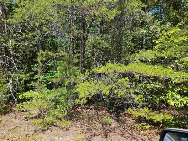 $389,900 | 100-ac West James Anderson Highway West, Gladstone, VA 24553