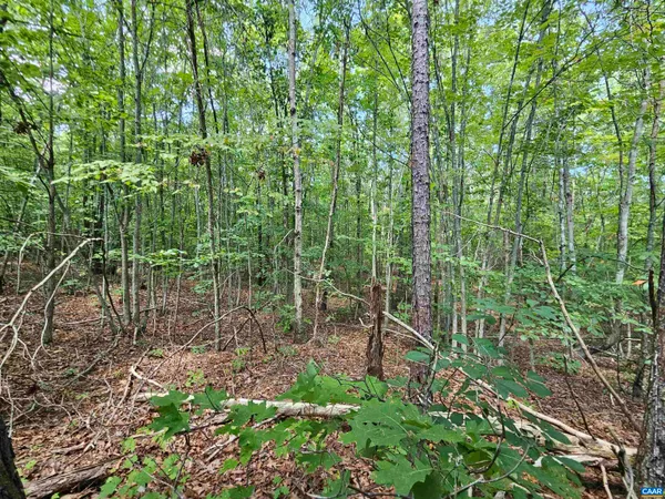 $389,900 | 100-ac West James Anderson Highway West, Gladstone, VA 24553