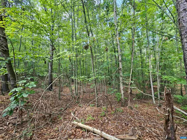 $389,900 | 100-ac West James Anderson Highway West, Gladstone, VA 24553