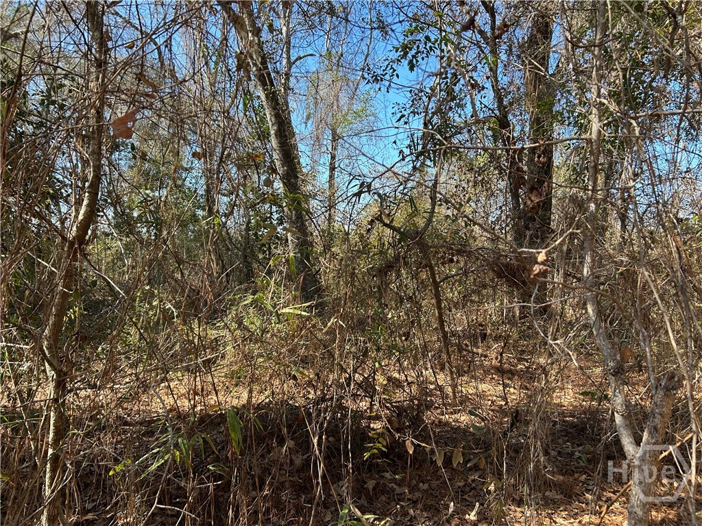 0 Barrington Ferry Road Riceboro, GA 31323 - Photo 2 of 2 Gallery Image 2