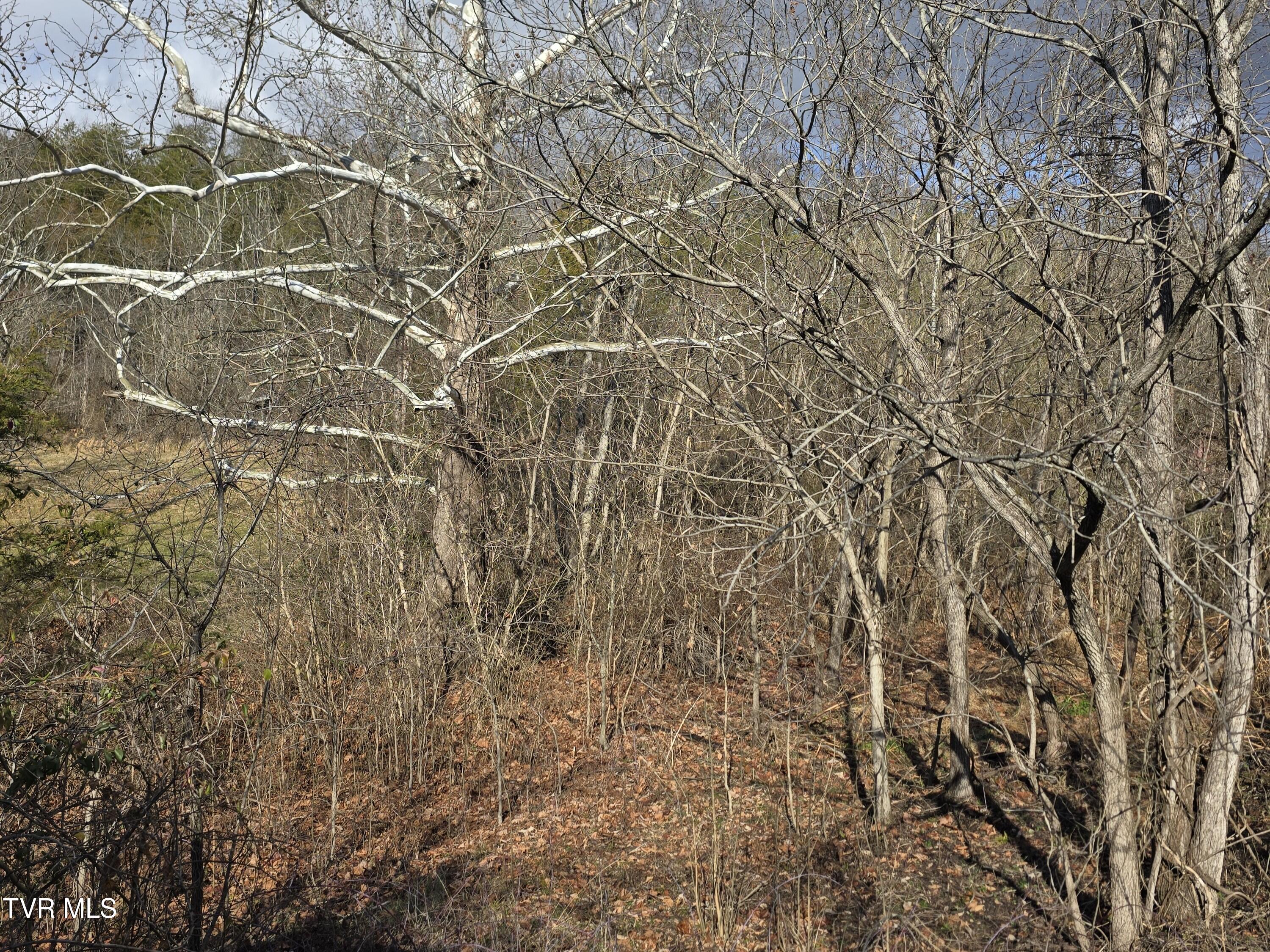 4108 Ridge Road Kingsport, TN 37660 - Photo 6 of 10 06