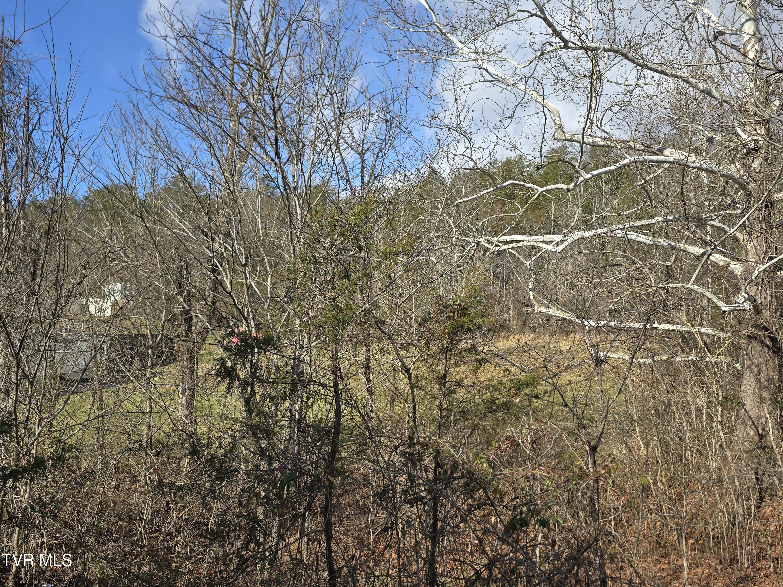 4108 Ridge Road Kingsport, TN 37660 - Photo 7 of 10 07