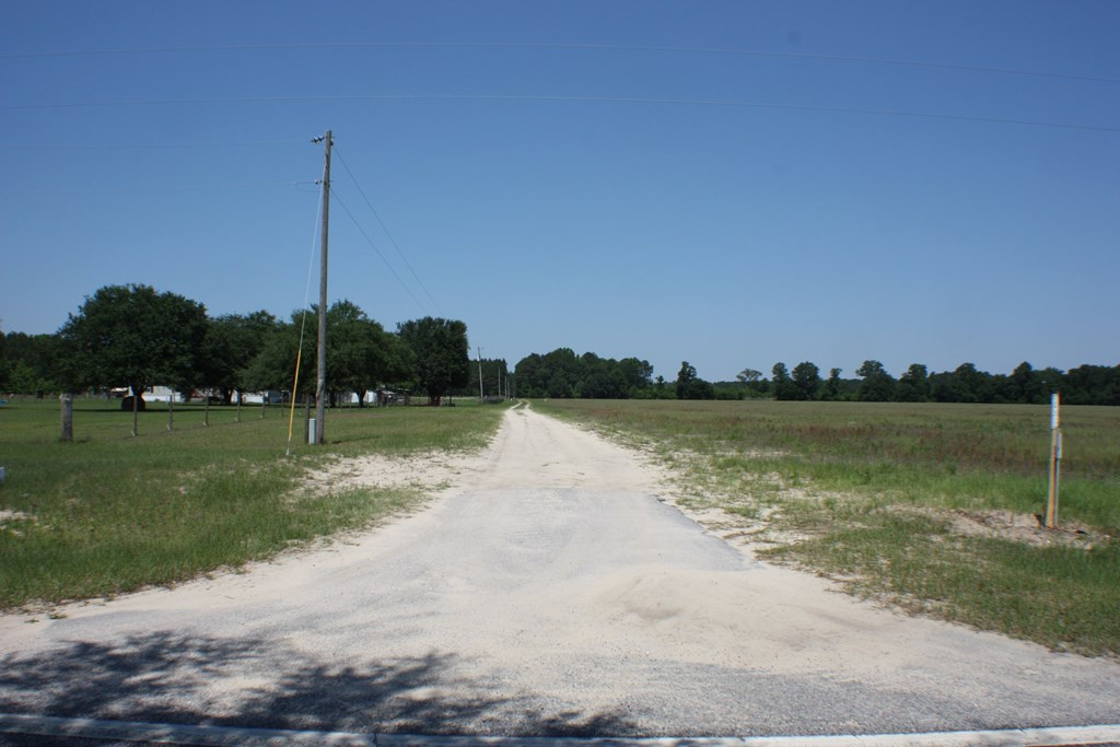 1331 North Brewington Road Manning, SC 29102 - Photo 54 of 55 Gallery Image 54