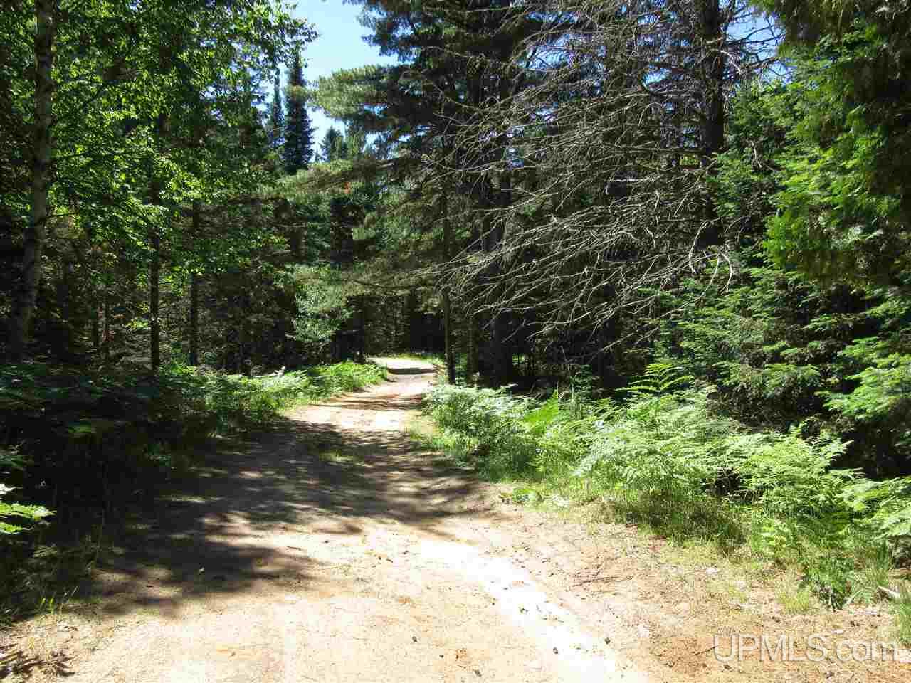 Tbd Usfs Road Munising, MI 49895 - Photo 7 of 14