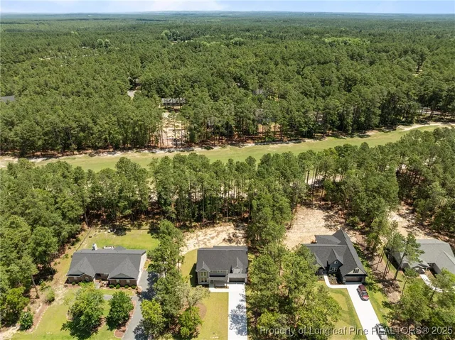 $384,900 | 15881 Wildlife Lane, Wagram, NC 28396