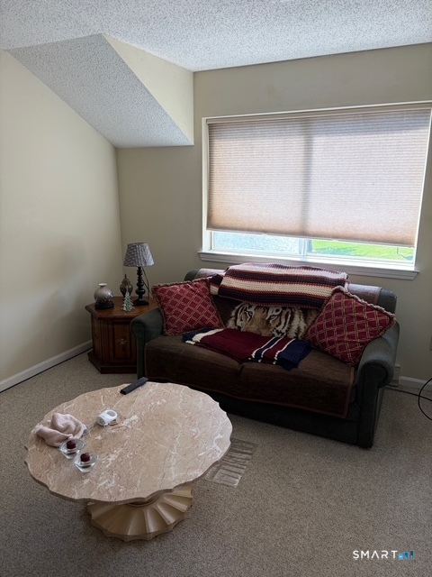 925 Oronoke Road, Unit 31C Waterbury, CT 06708 - Photo 14 of 20
