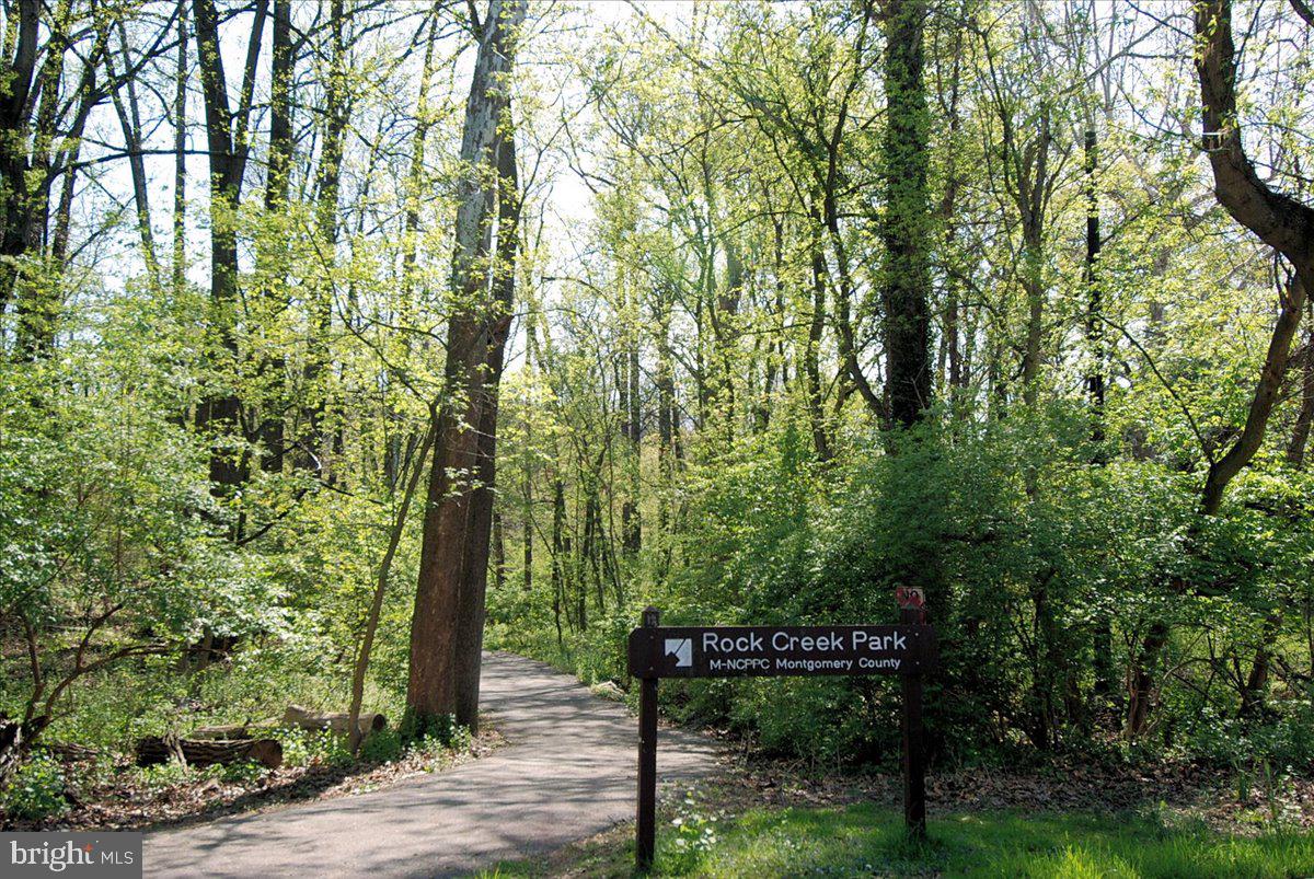 2222 Washington Avenue, Unit 101 Silver Spring, MD 20910 - Photo 27 of 38 Rock Creek Park