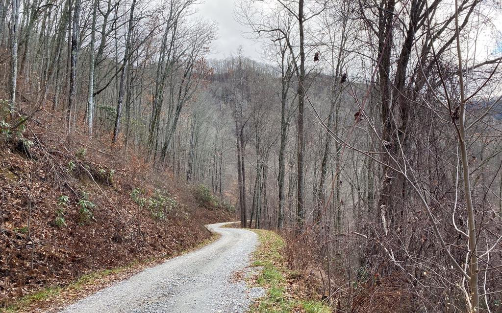 Lot Off Lot Off Buck Naked Road Bryson City, NC 28713 - Photo 3 of 7