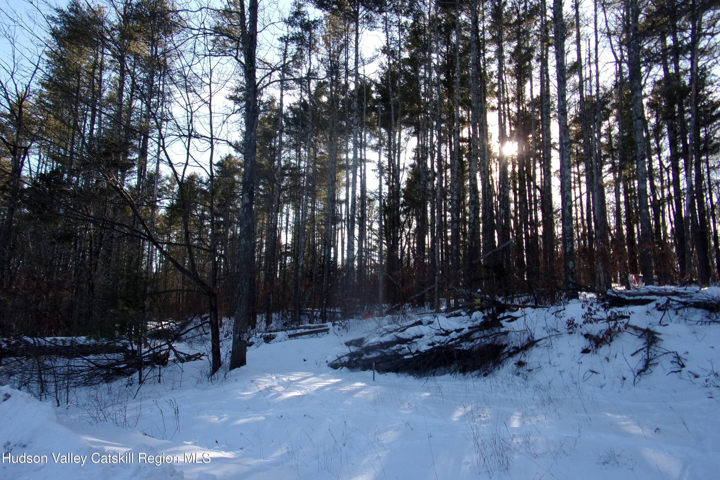 128 Klingermann Drive Cairo, NY 12413 - Photo 1 of 11 a view of outdoor space with lots of trees