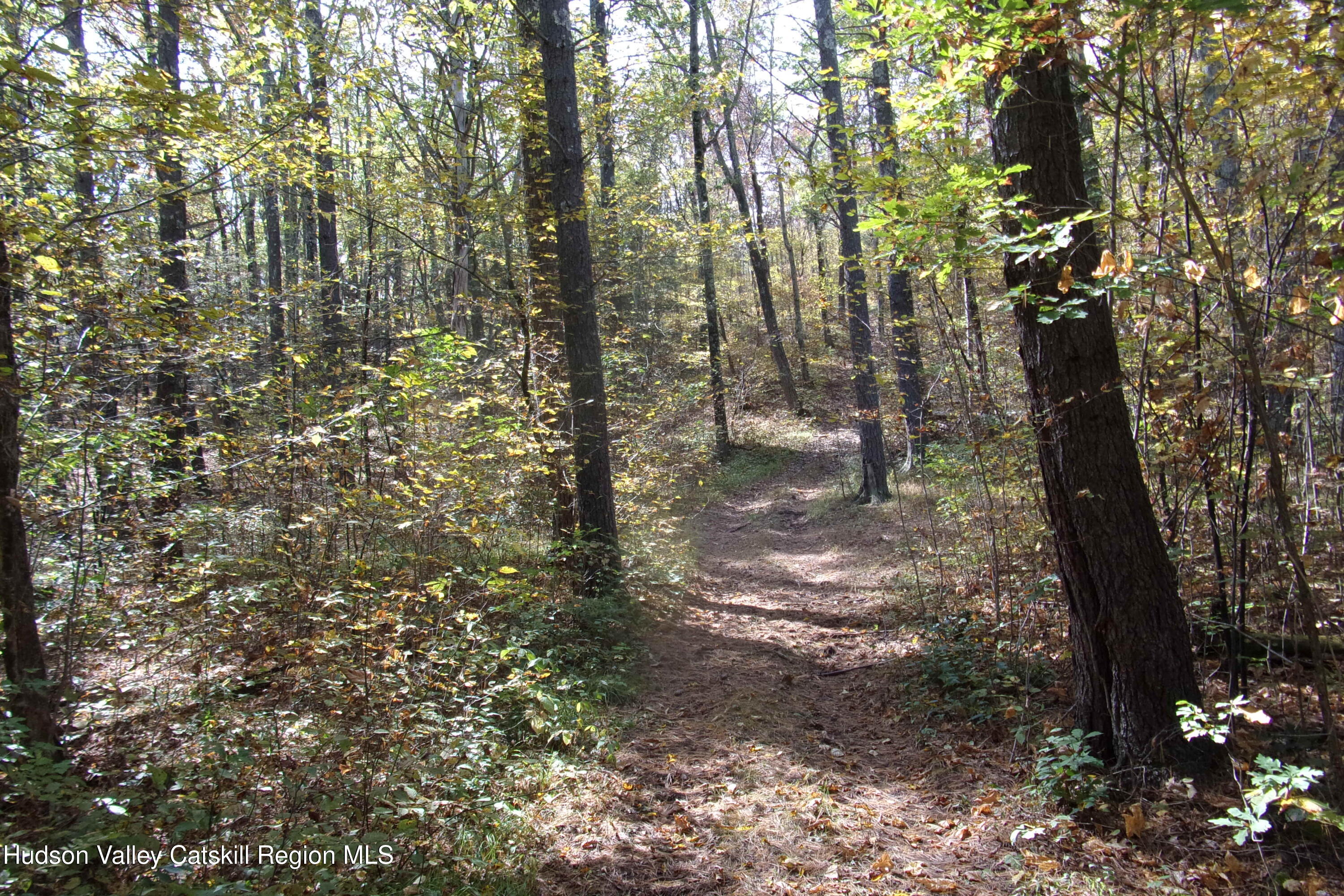128 Klingermann Drive Cairo, NY 12413 - Photo 6 of 11 a view of forest