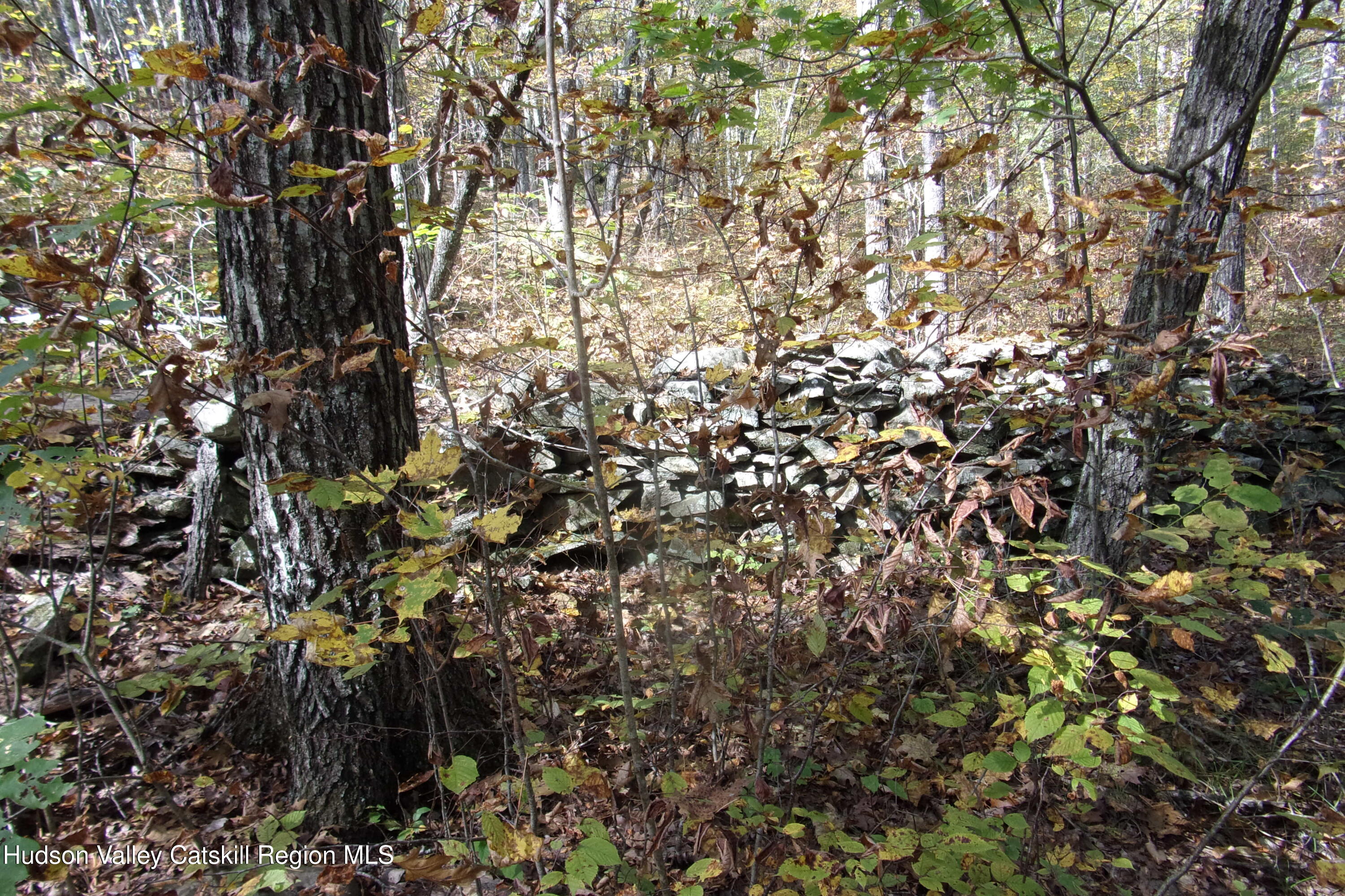 128 Klingermann Drive Cairo, NY 12413 - Photo 7 of 11 a view of tree