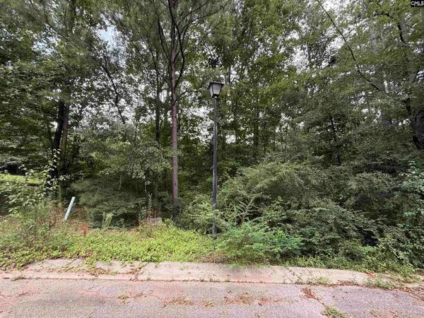 $185,000 | Tbd Timberlane Drive, Winnsboro, SC 29180