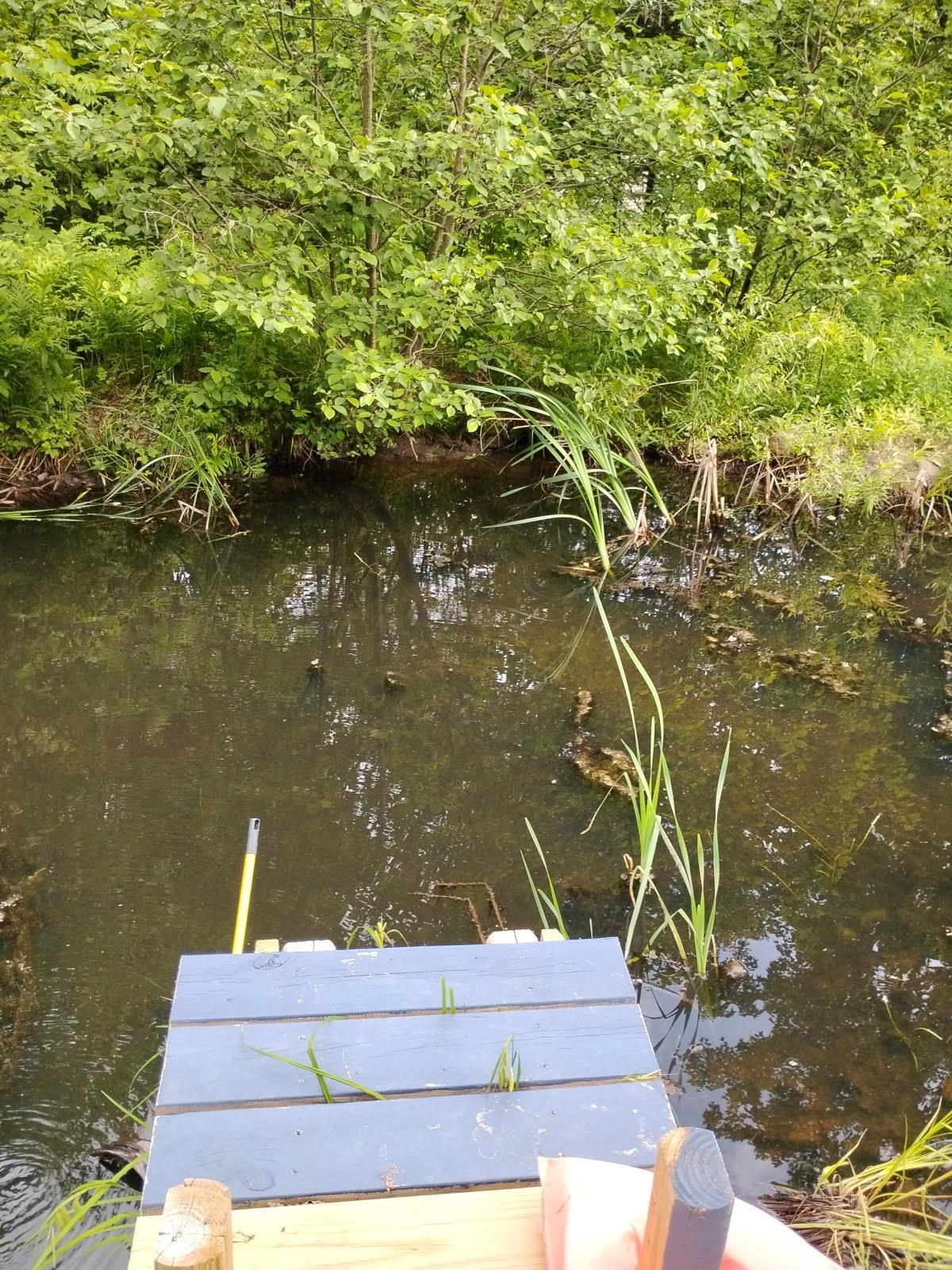 558 Lost Nation Road Groveton, NH 03582 - Photo 21 of 30 Gallery Image 21