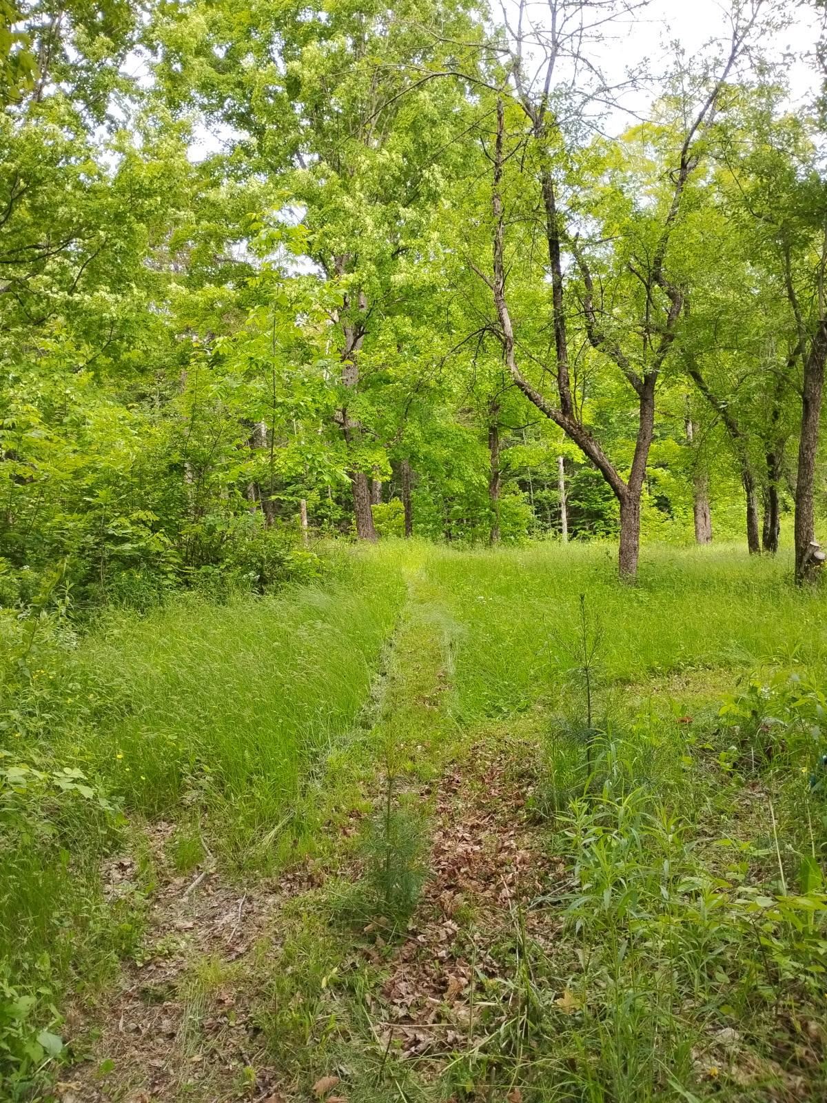 558 Lost Nation Road Groveton, NH 03582 - Photo 22 of 30 Gallery Image 22