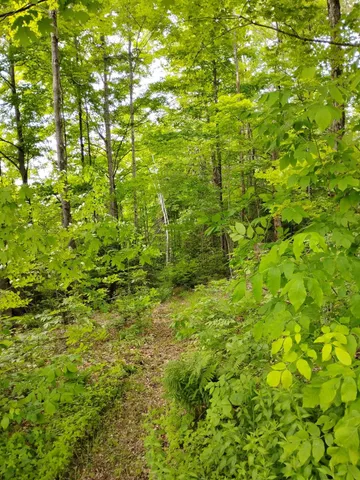 $164,900 | 558 Lost Nation Road, Groveton, NH 03582