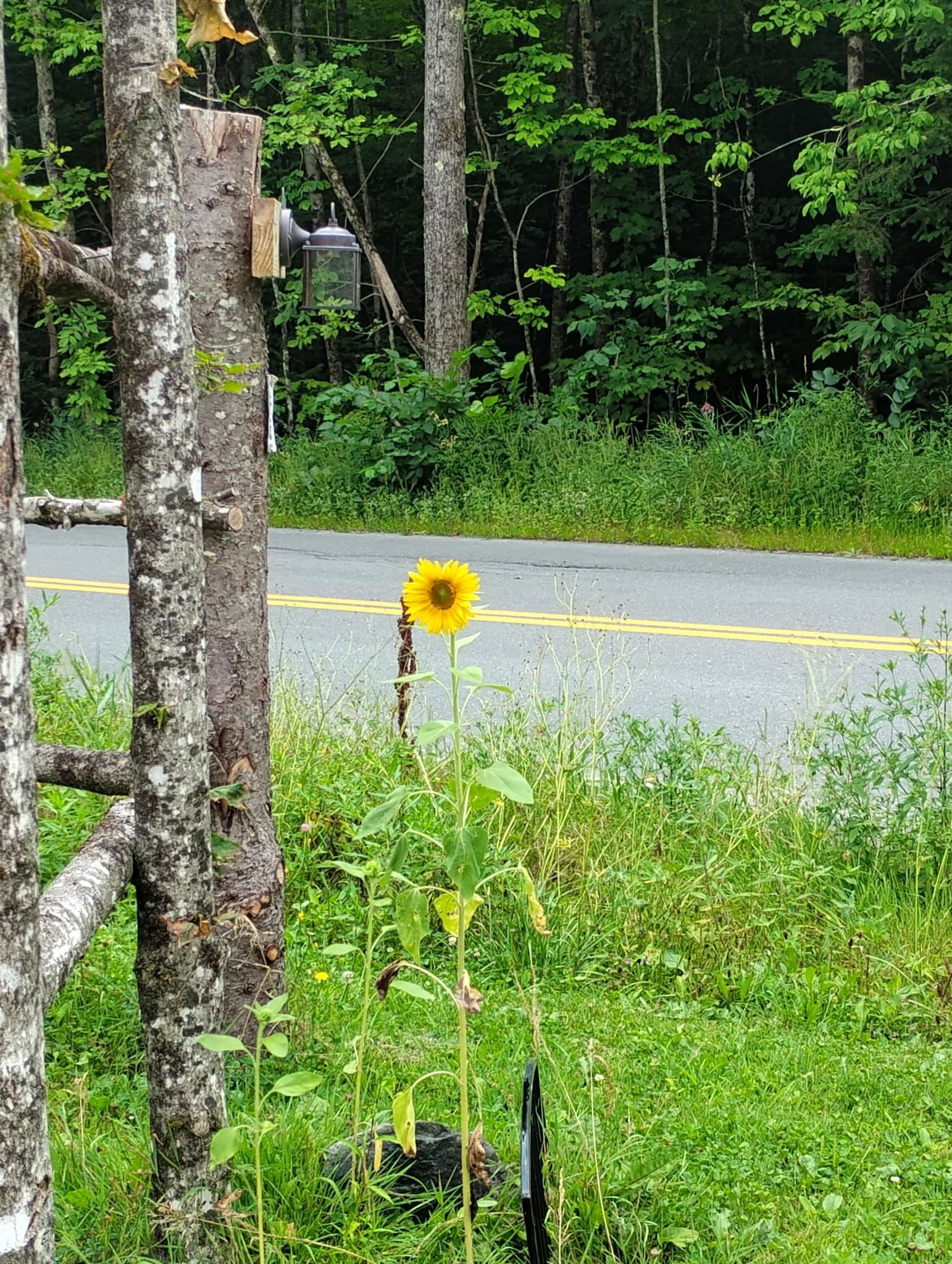 558 Lost Nation Road Groveton, NH 03582 - Photo 24 of 30 Gallery Image 24