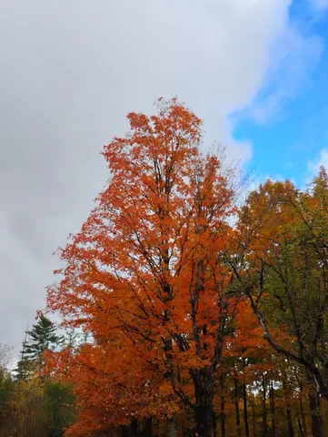 $164,900 | 558 Lost Nation Road, Groveton, NH 03582