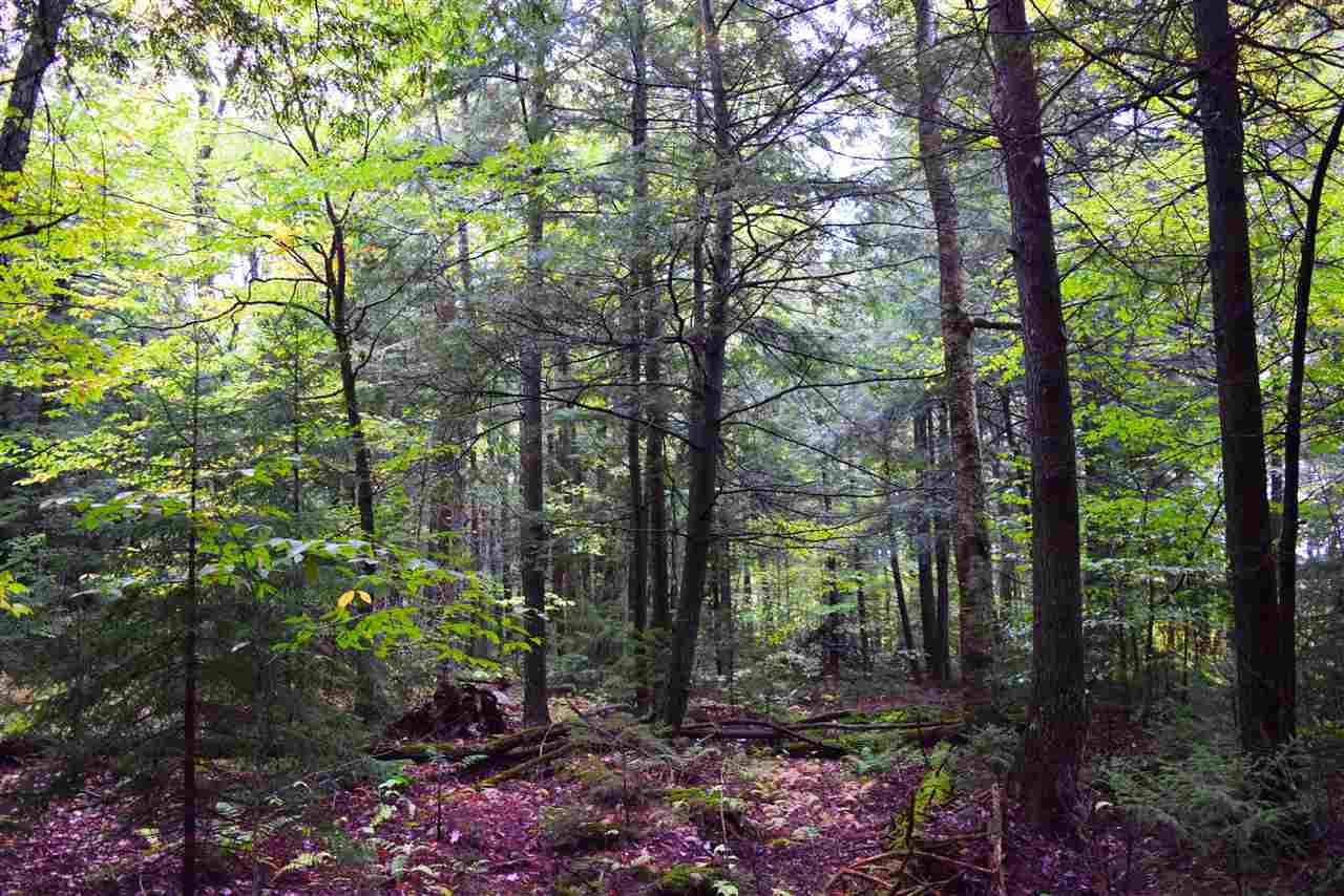 207 West Hill Road Worcester, VT 05682 - Photo 20 of 40