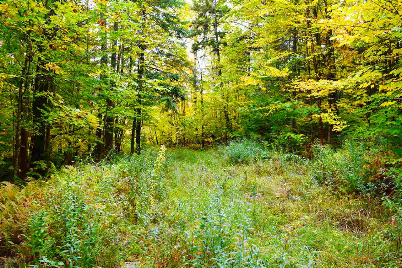 207 West Hill Road Worcester, VT 05682 - Photo 27 of 40