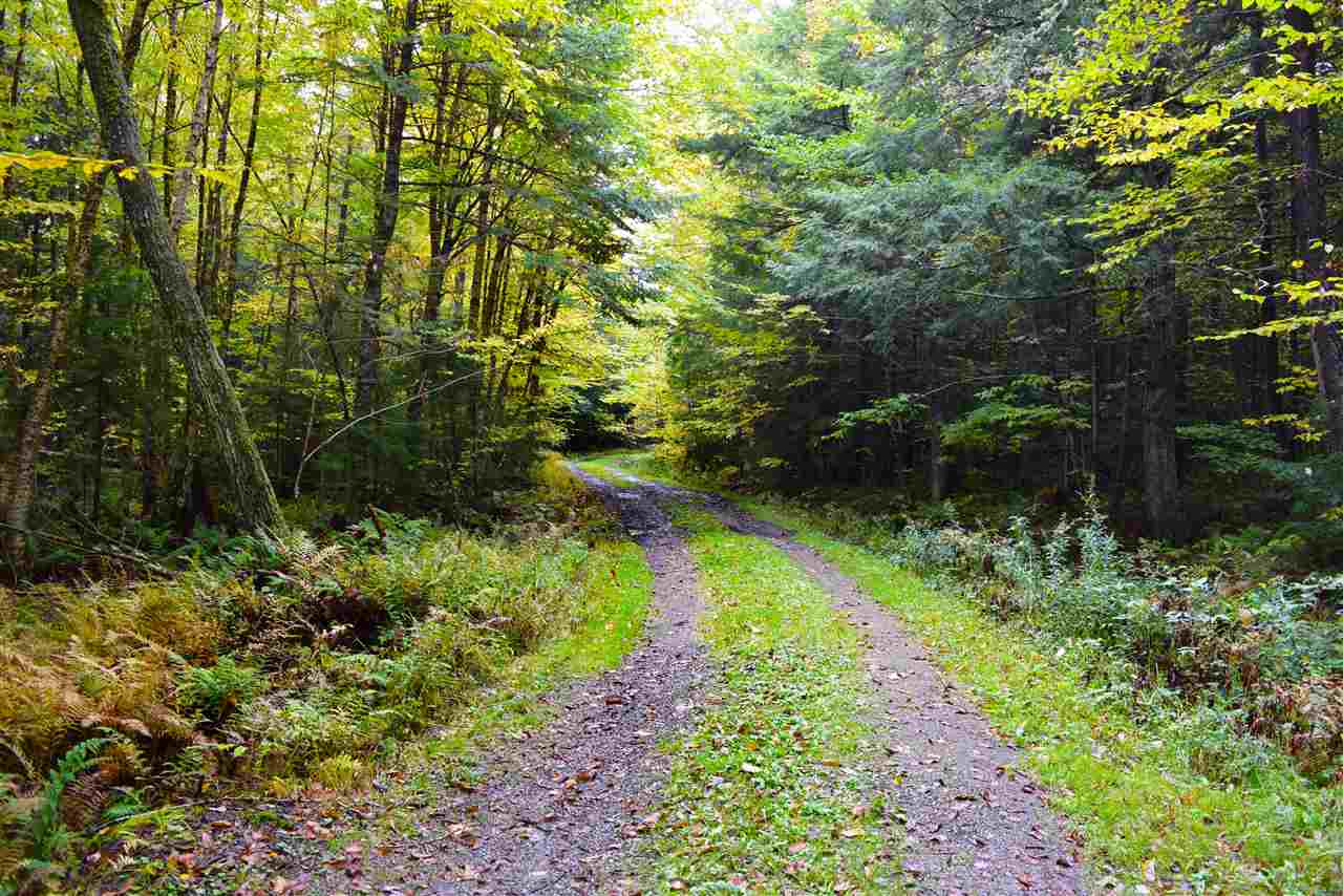 207 West Hill Road Worcester, VT 05682 - Photo 36 of 40