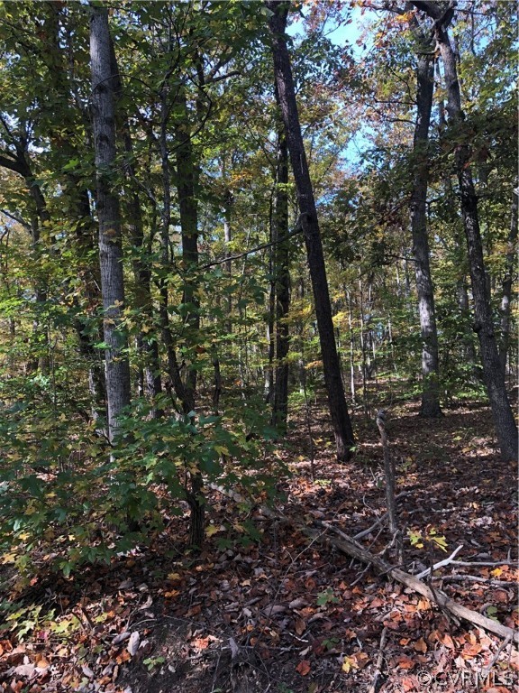 0 Willis Proffitt Road Mineral, VA 23117 - Photo 2 of 2 Gallery Image 2