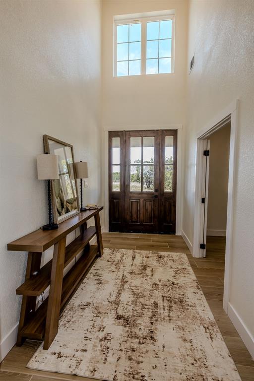 2847 Canyon Wren Loop Graford, TX 76449 - Photo 3 of 40 a view of livingroom with furniture and front door
