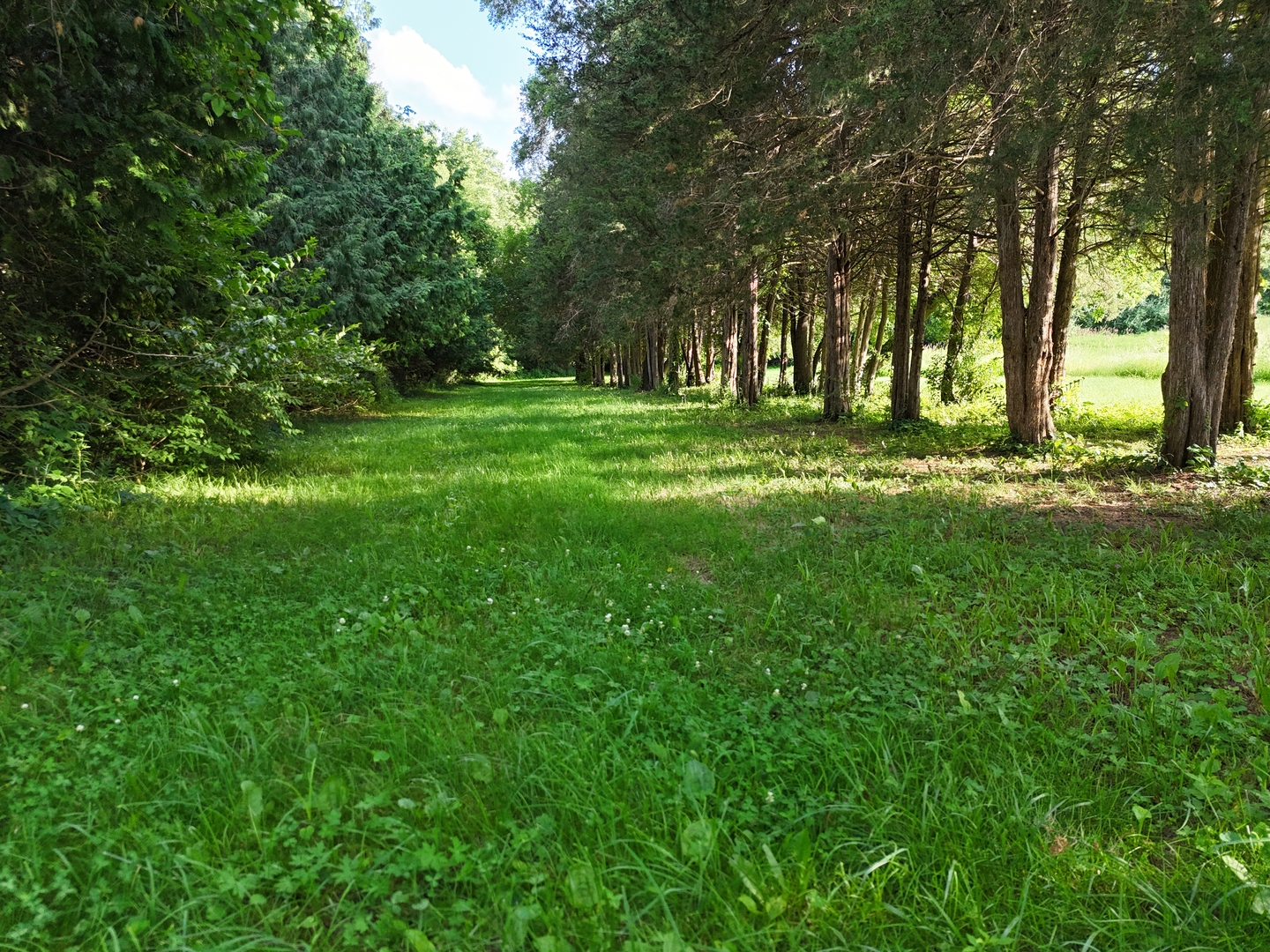 1441 West Fairview Road Freeport, IL 61032 - Photo 2 of 11 a view of park with trees