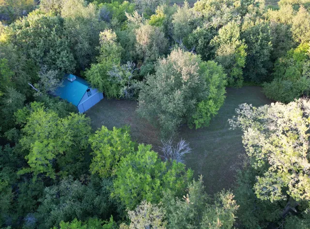 a view of outdoor space and trees