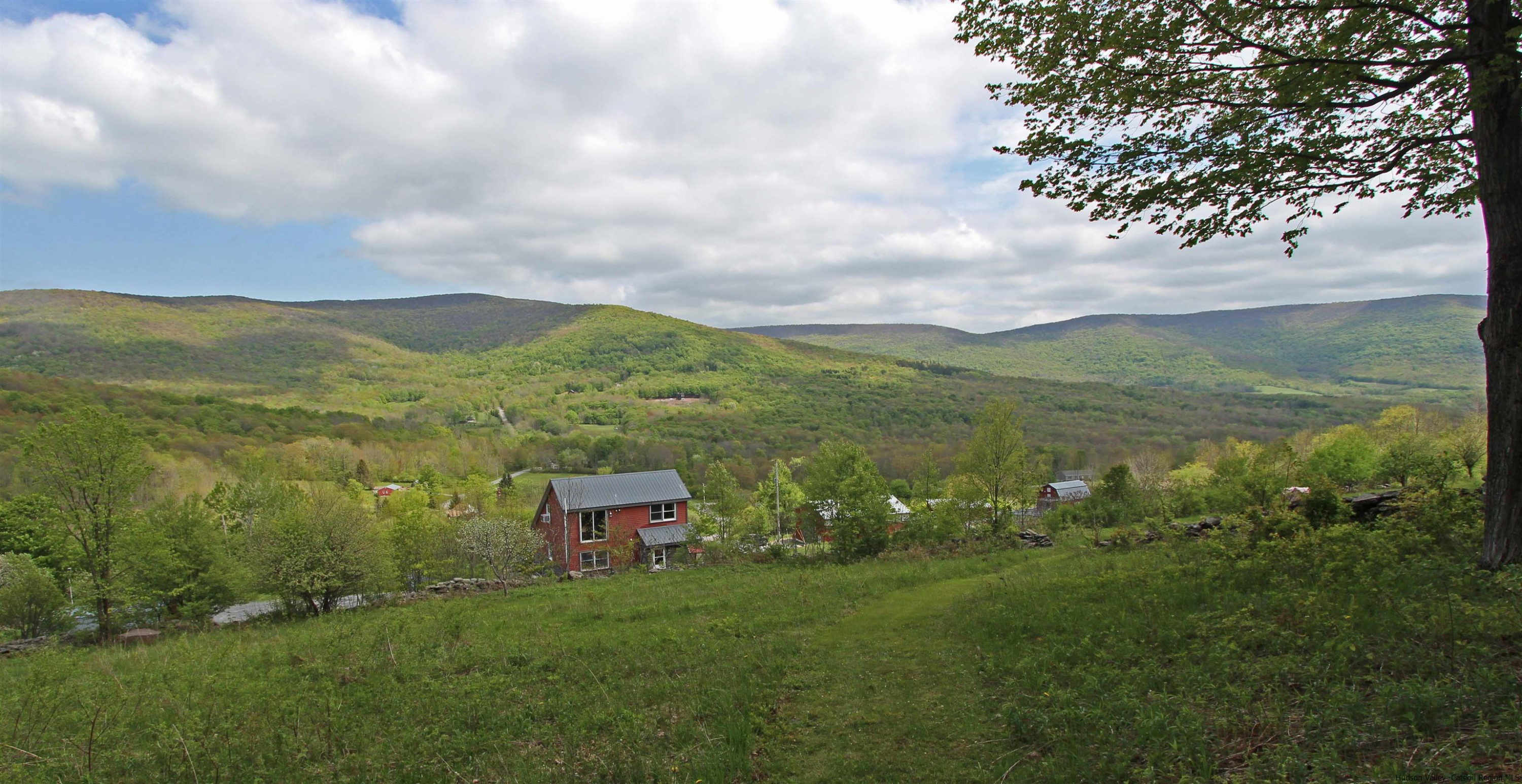 143 Rossman Road Roxbury, NY 12421 - Photo 2 of 35 a view of a lush green forest with mountains in the background