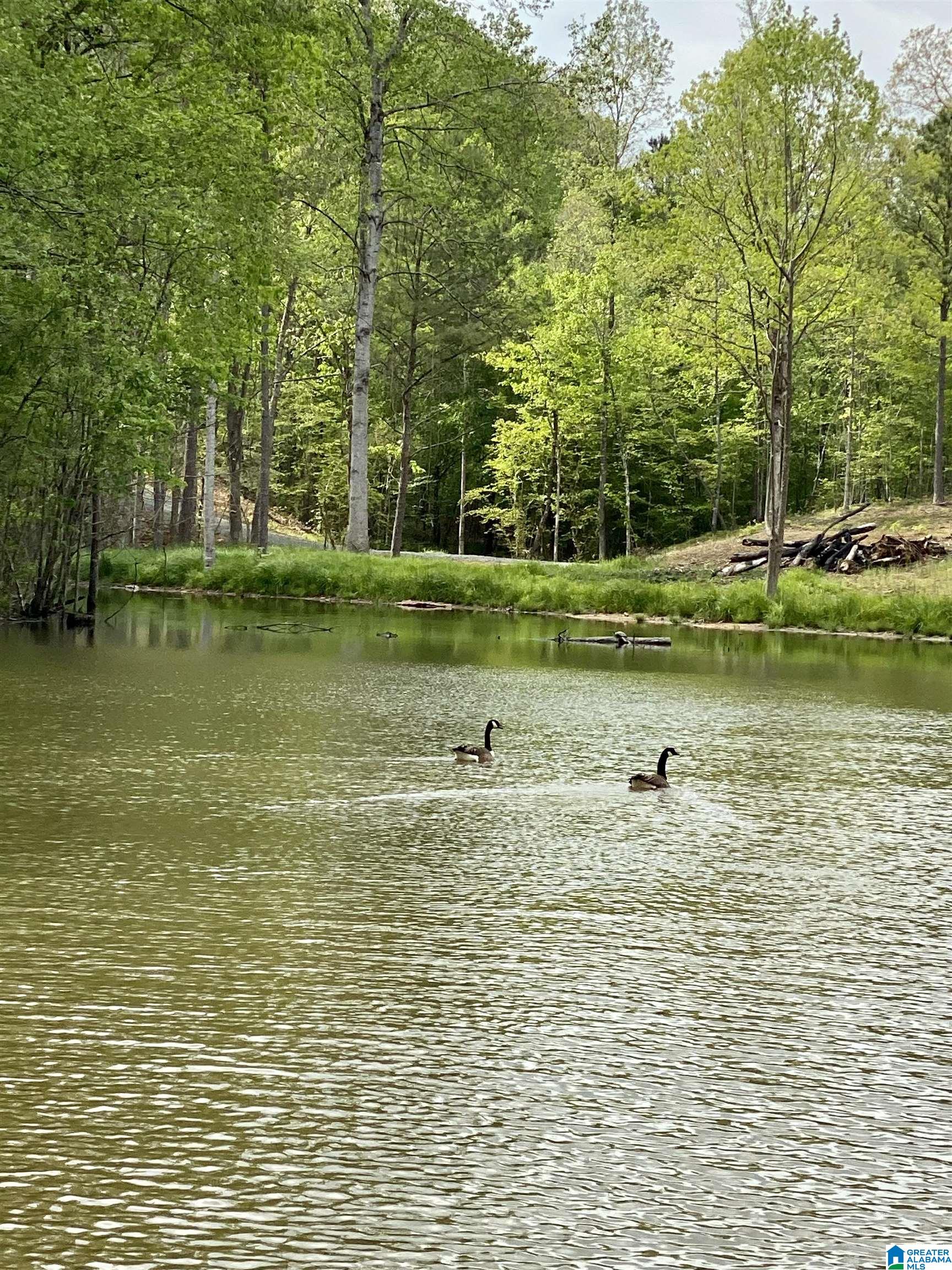 8346 Serene Lake Road McCalla, AL 35111 - Photo 1 of 24