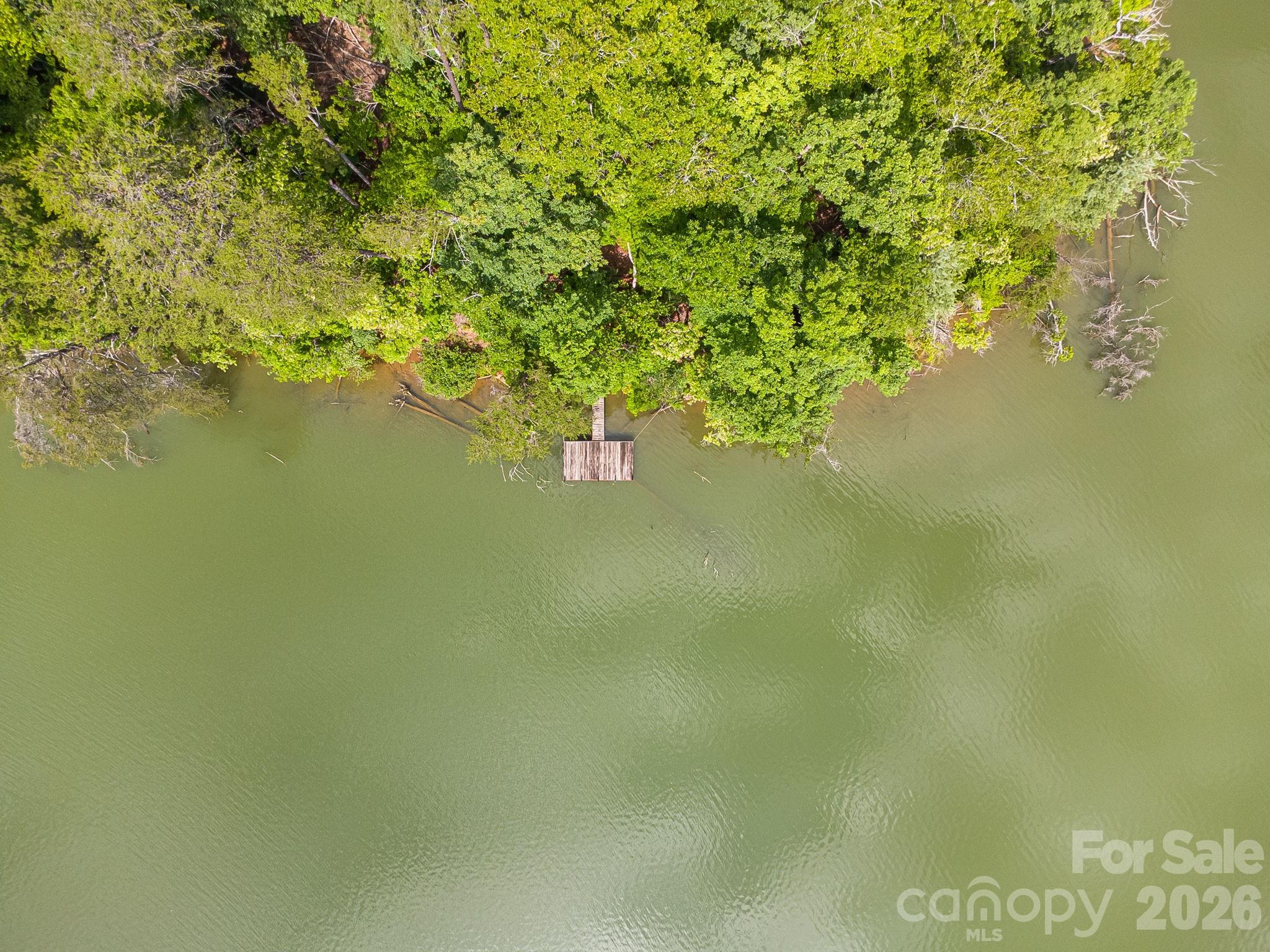 0 Canoe Drive, Unit 40 Mill Spring, NC 28756 - Photo 7 of 23