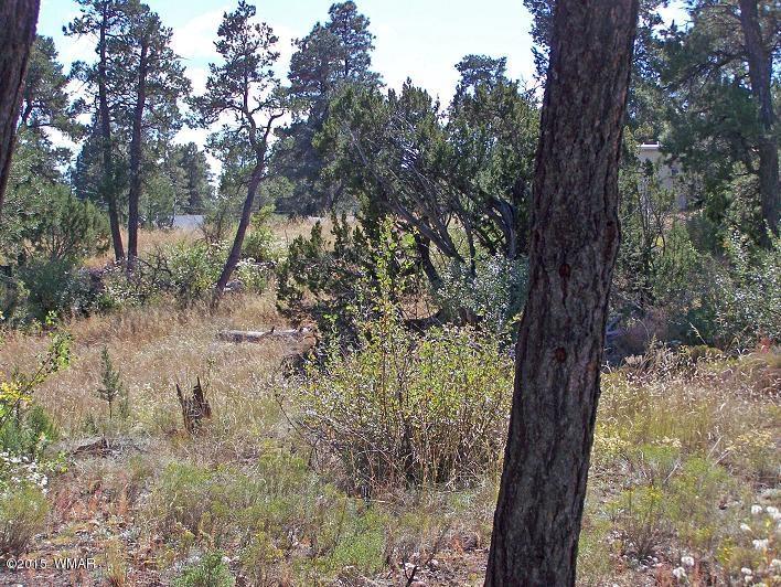 3117 Ranch Road Overgaard, AZ 85933 - Photo 3 of 11