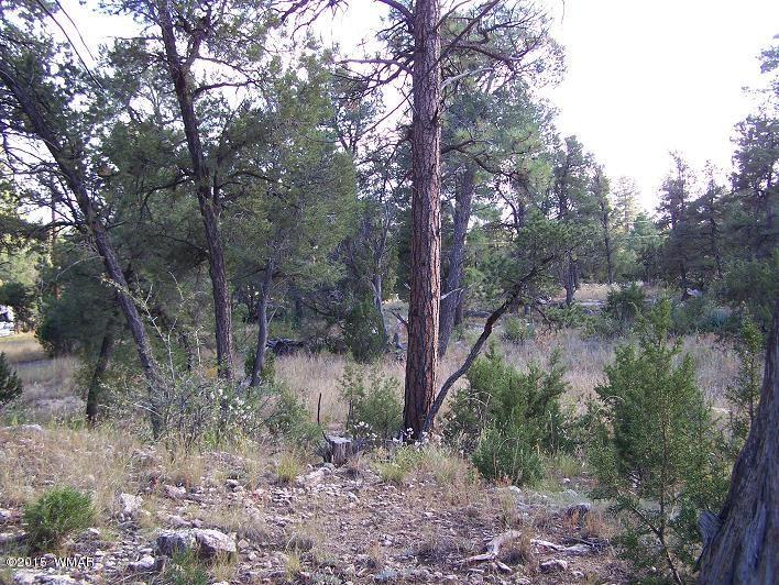 3117 Ranch Road Overgaard, AZ 85933 - Photo 10 of 11