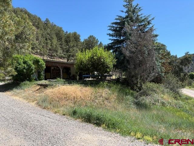 224 Spud Hill Road Montrose, CO 81403 - Photo 8 of 16